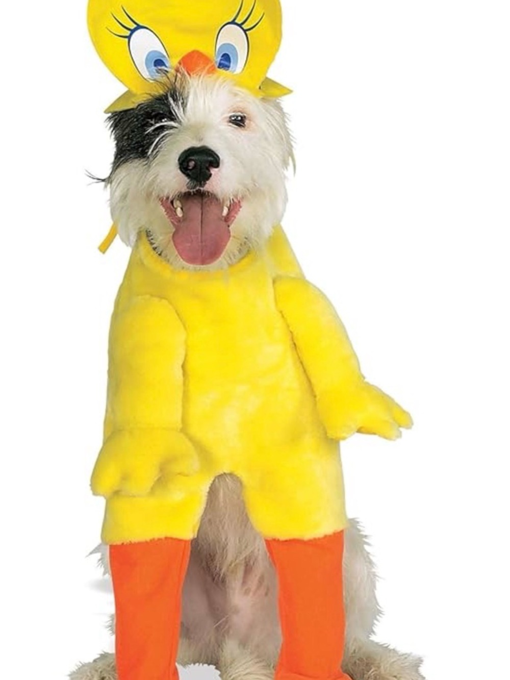 Looney Tunes Tweety Bird Pet Costume